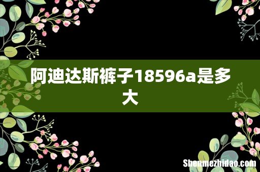 阿迪达斯裤子18596a是多大