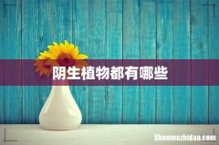 阴生植物都有哪些