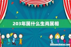 203年属什么生肖属相