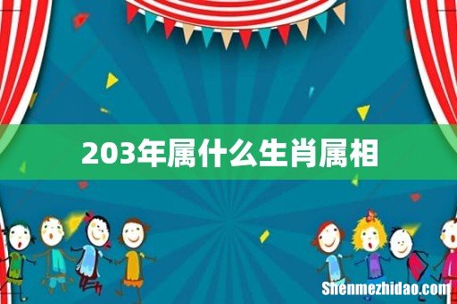 203年属什么生肖属相