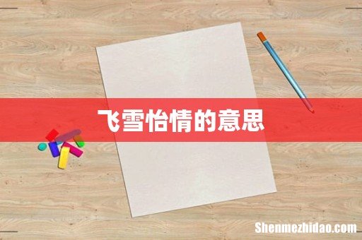 飞雪怡情的意思