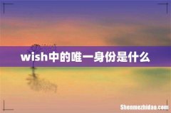 wish中的唯一身份是什么