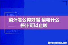 梨汁怎么榨好喝 梨和什么榨汁可以止咳