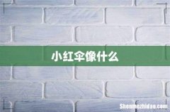 小红伞像什么