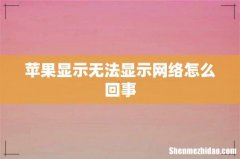 苹果显示无法显示网络怎么回事