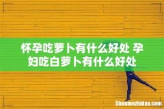 怀孕吃萝卜有什么好处 孕妇吃白萝卜有什么好处