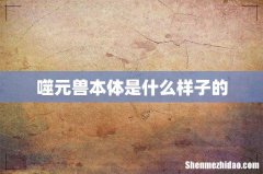 噬元兽本体是什么样子的