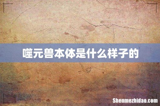 噬元兽本体是什么样子的