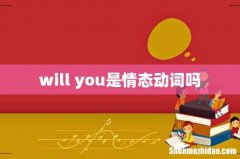will you是情态动词吗