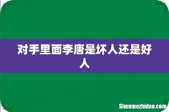 对手里面李唐是坏人还是好人