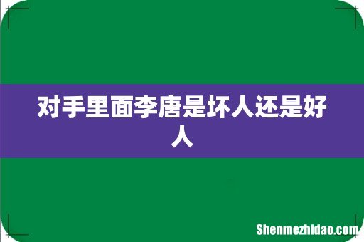 对手里面李唐是坏人还是好人