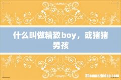 什么叫做精致boy，或猪猪男孩