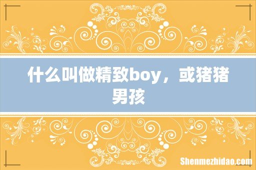 什么叫做精致boy,或猪猪男孩