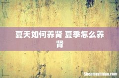 夏天如何养肾 夏季怎么养肾