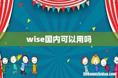 wise国内可以用吗