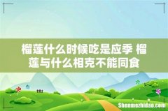 榴莲什么时候吃是应季 榴莲与什么相克不能同食
