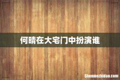 何晴在大宅门中扮演谁