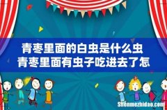 青枣里面的白虫是什么虫 青枣里面有虫子吃进去了怎么办