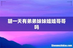 胡一天有弟弟妹妹姐姐哥哥吗