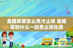 鱼腥草要怎么煮才止咳 鱼腥草和什么一起煮止咳化痰