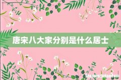 唐宋八大家分别是什么居士