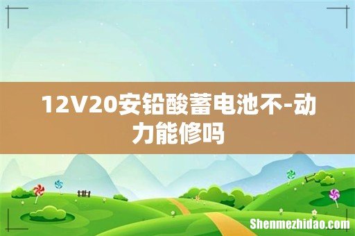 12V20安铅酸蓄电池不-动力能修吗