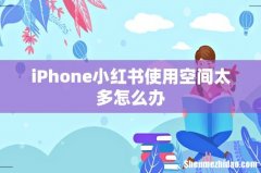 iPhone小红书使用空间太多怎么办