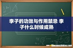 李子的功效与作用禁忌 李子什么时候成熟