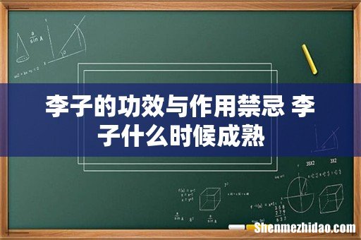李子的功效与作用禁忌 李子什么时候成熟
