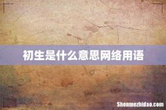 初生是什么意思网络用语