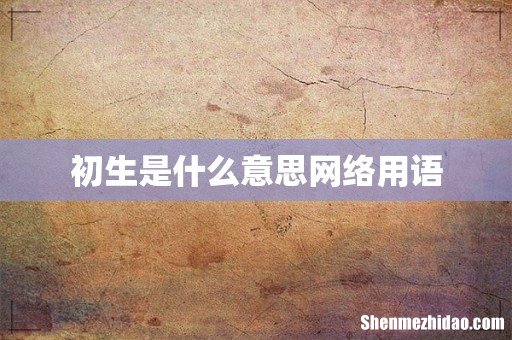 初生是什么意思网络用语