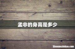 孟非的身高是多少