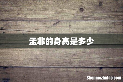 孟非的身高是多少