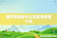 俄罗斯海参与土耳其海参哪个好