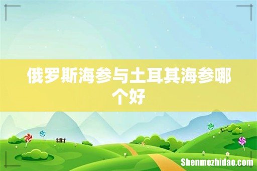 俄罗斯海参与土耳其海参哪个好