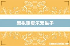 黑执事夏尔双生子