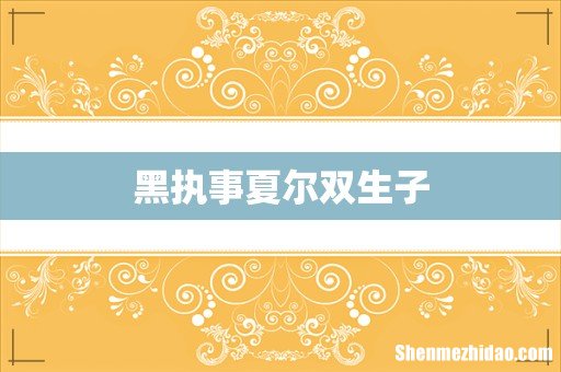 黑执事夏尔双生子