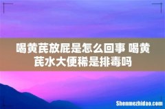 喝黄芪放屁是怎么回事 喝黄芪水大便稀是排毒吗