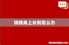 锦鲤身上长刺怎么办