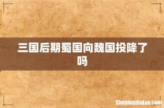 三国后期蜀国向魏国投降了吗