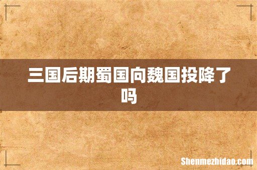 三国后期蜀国向魏国投降了吗