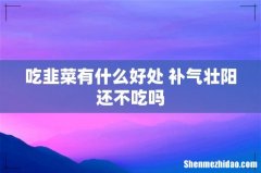 吃韭菜有什么好处 补气壮阳还不吃吗