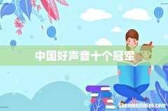 中国好声音十个冠军