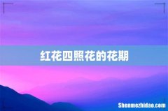 红花四照花的花期