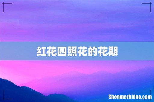 红花四照花的花期