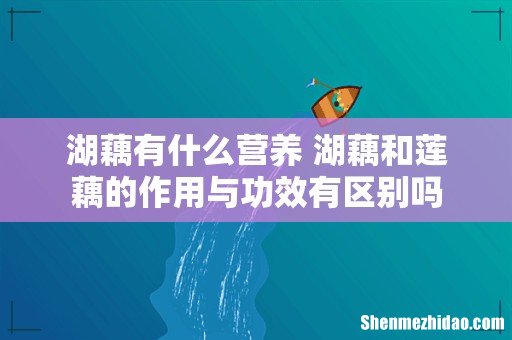 湖藕有什么营养 湖藕和莲藕的作用与功效有区别吗