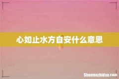 心如止水方自安什么意思