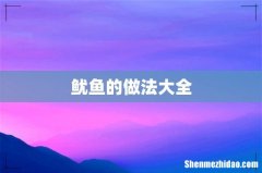 鱿鱼的做法大全