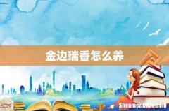 金边瑞香怎么养