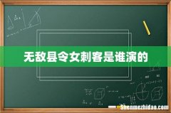 无敌县令女刺客是谁演的
